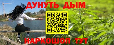 шишки Пенза