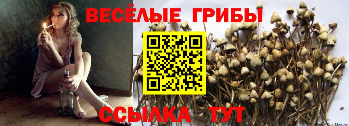 Псилоцибиновые грибы мухоморы  Галлюциногенные грибы MAGIC MUSHROOMS  Соль-Илецк  Вход с VPN 